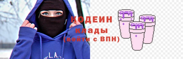 амф Гусиноозёрск
