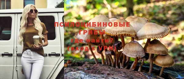 прущие крисы Вяземский
